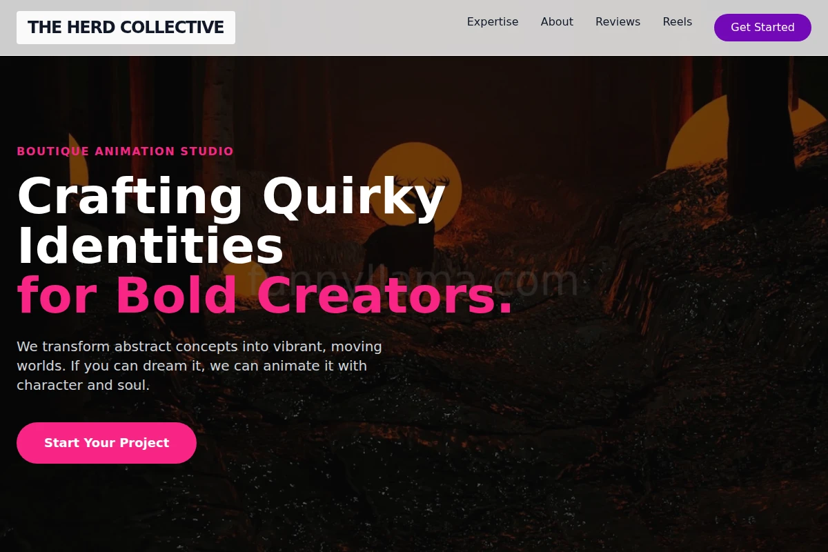 Boutique Animation