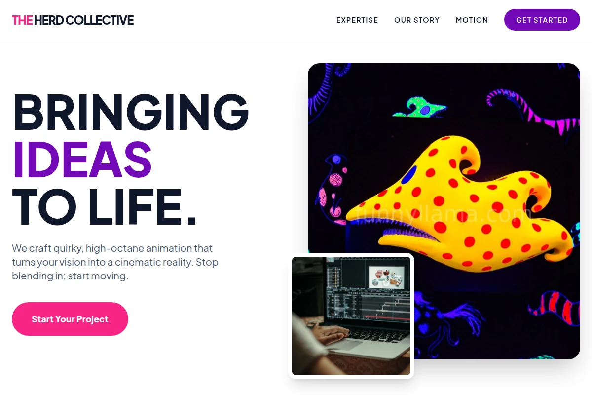 Bold Animation